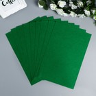 Фетр жесткий 1 мм "Летняя зелень" набор 10 листов формат А4 - фото 8355021