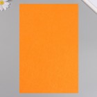 Фетр жесткий 1 мм "Ярко-оранжевый" набор 10 листов формат А4 - фото 8355030