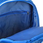 Рюкзак школьный, эргономичная спинка 44 х 33 х 15 см, Erich Krause La'Fleur - Фото 7
