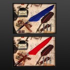 Сувенирный набор "Перо с чернилами и 3-мя сменными перьями" МИКС 19,5х14,5 см - Фото 6