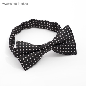 Набор для мальчика KAFTAN «Любимый сыночек»: подтяжки и галстук-бабочка