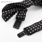 Набор для мальчика KAFTAN «Любимый сыночек»: подтяжки и галстук-бабочка 2519384