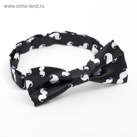 Набор для мальчика KAFTAN «Джентльмен»: подтяжки и галстук-бабочка