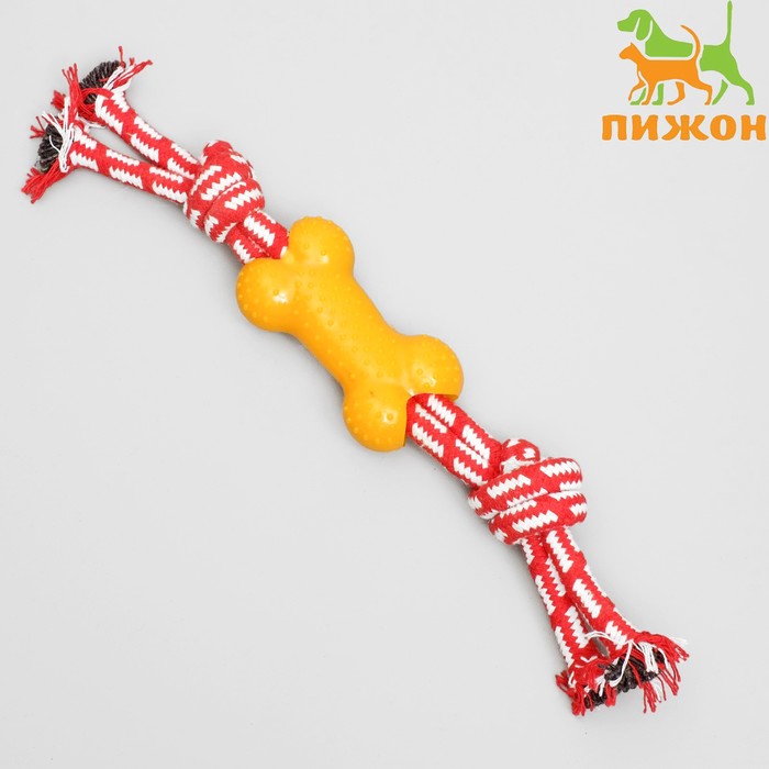 Игрушка канатная двойная с косточкой, до 30 см, до 85 г, микс цветов - Фото 1