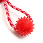 Игрушка канатная «Узел с массажным шариком», до 31 см, до 65 г, цвет МИКС - фото 67923134