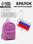 Светоотражающий элемент «Флаг России», 6×4 см, триколор - Фото 1