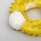 Игрушка двухслойная (твердый и мягкий пластик) "Кольцо с шипами", 10 см, микс цветов - Фото 3