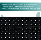 Кассета для рассады, на 72 ячейки, по 50 мл, из пластика, чёрная, 54 × 28 × 4 см, Greengo 2702525 - фото 2196046