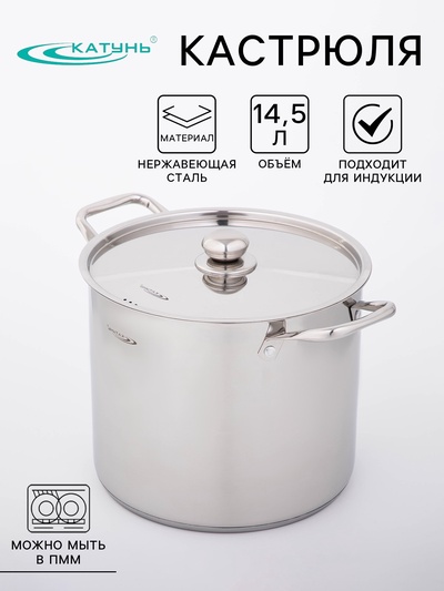 Кастрюля Катунь «Титан», 14.5 л, d=28 см, h=24 см, капсульное дно, индукция, нержавеющая сталь, AISI - 201