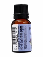 Эфирное масло «Лаванда», флакон-капельница, 17 мл «Добропаровъ» - Фото 6