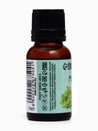 Эфирное масло «Мята», флакон-капельница, 17 мл «Добропаровъ» - Фото 2