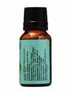 Эфирное масло «Мята», флакон-капельница, 17 мл «Добропаровъ» - Фото 6