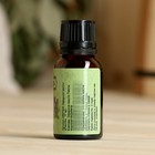 Эфирное масло «Пихта», флакон-капельница, 17 мл «Добропаровъ» - Фото 3