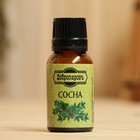 Эфирное масло «Сосна», флакон-капельница, 17 мл «Добропаровъ» - Фото 2