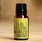 Эфирное масло «Сосна», флакон-капельница, 17 мл «Добропаровъ» - Фото 3