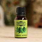 Эфирное масло «Чайное дерево», флакон-капельница, 17 мл «Добропаровъ» - Фото 2