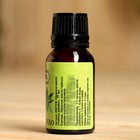 Эфирное масло «Чайное дерево», флакон-капельница, 17 мл «Добропаровъ» - Фото 3