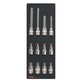 

Набор торцевых головок CUSTOR PRO-1-3, вставка SPLINE, 12 предметов, в ложементе