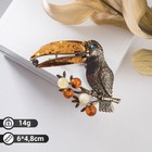 Брошь «Янтарь» тукан, цветная в бронзе - Фото 1