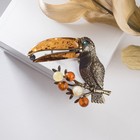 Брошь «Янтарь» тукан, цветная в бронзе - Фото 2