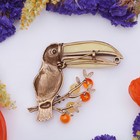 Брошь «Янтарь» тукан, цветная в бронзе - Фото 4