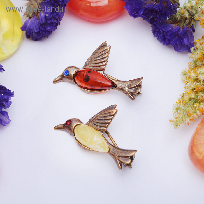 Брошь «Янтарь» колибри в бронзе 3056, цвет МИКС - Фото 1