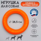Оранжевое