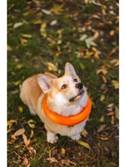 Кольцо «ДогЛайк» D-2612, 8-мигранное, среднее ⌀ 28.5 см - Фото 6