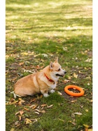 Кольцо «ДогЛайк» D-2612, 8-мигранное, среднее ⌀ 28.5 см - Фото 7