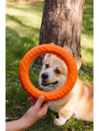 Кольцо «ДогЛайк» D-2612, 8-мигранное, среднее ⌀ 28.5 см - фото 57918668