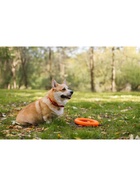 Кольцо «ДогЛайк» D-2612, 8-мигранное, среднее ⌀ 28.5 см - Фото 9