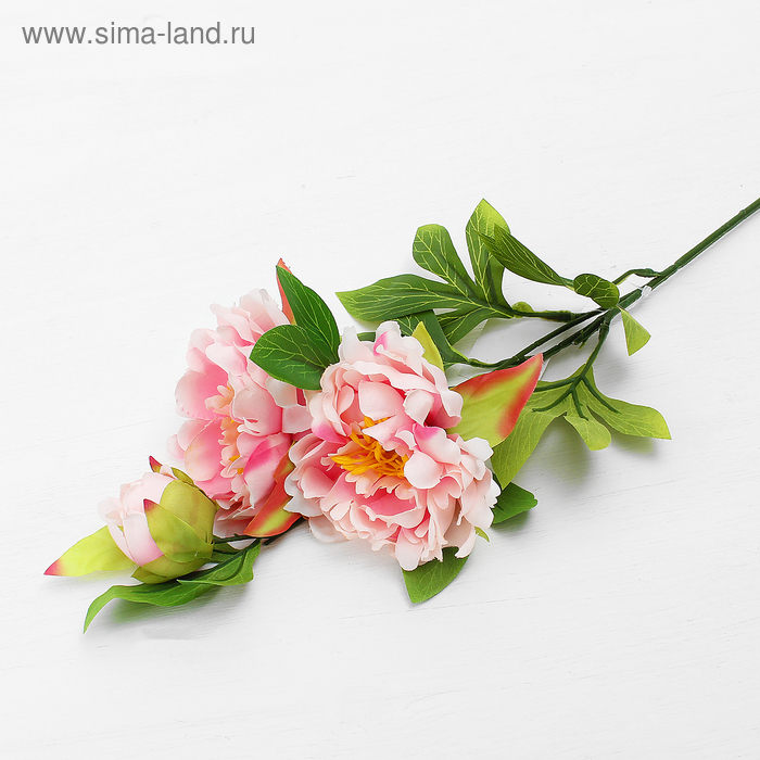 Цветок искусственный "Пион Анастасия" 54 см, розовый - Фото 1