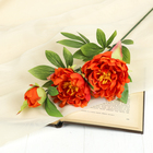 Цветок искусственный "Пион Анастасия" 54 см, оранжевый - Фото 1