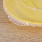 Тарелка, d=18 см, с герметичной крышкой, цвета МИКС - Фото 5