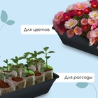 Ящик для рассады, 50×20×10 см, 6 л, пластик, цвет МИКС, «Урожай-3 м» - Фото 4