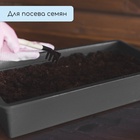 Ящик для рассады, 50×20×10 см, 6 л, пластик, цвет МИКС, «Урожай-3 м» - Фото 7