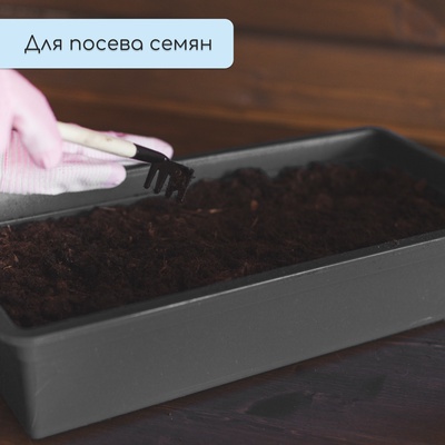 Ящик для рассады, 50×20×10 см, 6 л, пластик, цвет МИКС, «Урожай-3 м»