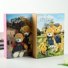 Фотоальбом в коробке на 200 фото 10х15 см "Мишки на полянке" МИКС - Фото 6