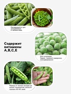 Семена Горох овощной «Детский» сахарный, раннеспелый, низкорослый, 10 г, «Евро-семена» - Фото 3