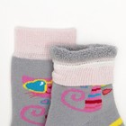 Носки детские плюшевые ПФС102-2803, цвет светло-серый, р-р 16-18 - Фото 2