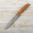 Нож кухонный Доляна «Мастак», лезвие 12 см - Фото 1