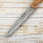 Нож кухонный Доляна «Мастак», лезвие 12 см - Фото 2