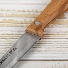 Нож кухонный Доляна «Мастак», лезвие 12 см - Фото 3