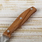 Нож кухонный Доляна «Мастак», лезвие 12 см - Фото 4