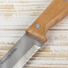 Нож для хлеба Доляна «Мастак», зубчатое лезвие 19,5 см, цвет коричневый - Фото 3