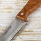 Нож для мяса и стейков Доляна «Мастак», лезвие 19 см, цвет коричневый - Фото 3