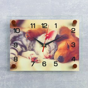 Часы-картина настенные, серия: Животный мир, "Котёнок и собачка", 20х26 см
