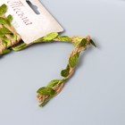 Тесьма текстиль "Листья" ширина 0,7 см намотка 2 метра - Фото 3