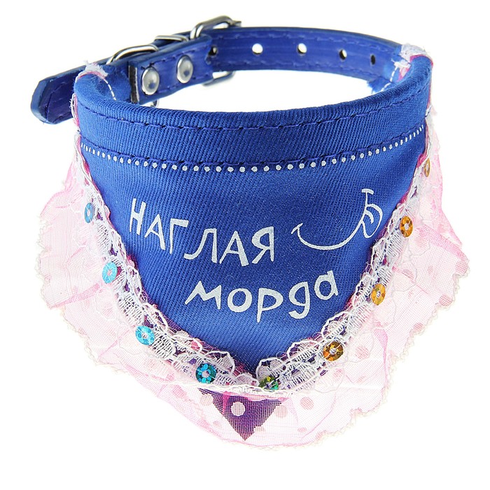 Ошейник с косынкой "Наглая морда", 1,0 х 30 см - Фото 1