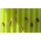 Матрасик для проращивания семян, малый, 10 × 12 × 3 см, «Лабиринт», МИКС - Фото 4